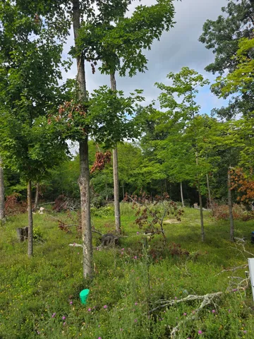 $200,000 | 14635 Anjonabe Court Southeast, Bemidji, MN 56601