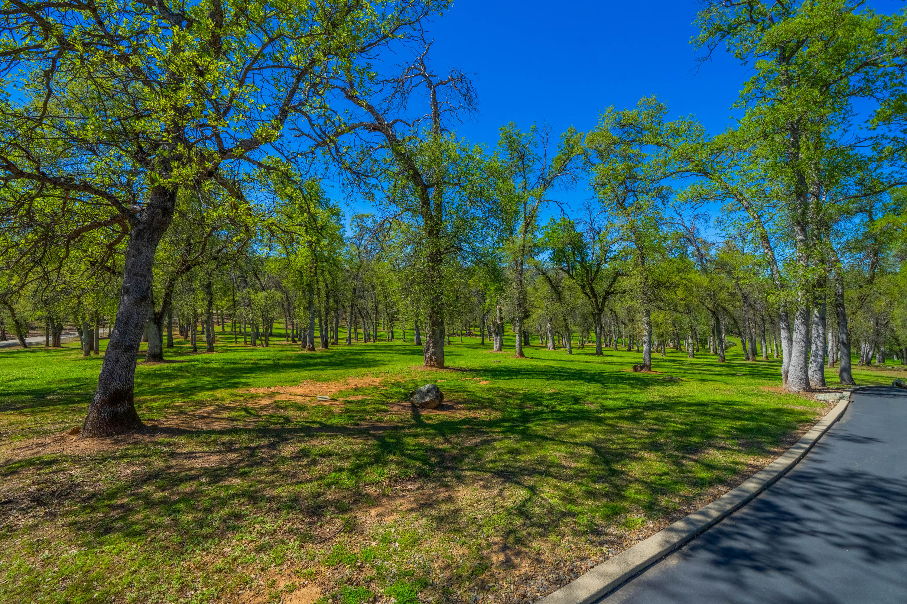 15920 El Camino Robles Road Redding, CA 96001 - Photo 6 of 48 IMG-120