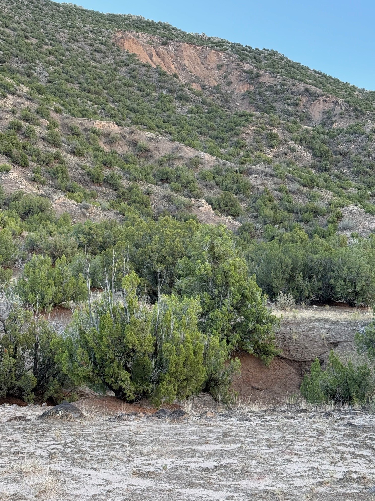 Tbd Lot 3 Tbd Road Ojo Caliente, NM 87549 - Photo 10 of 24