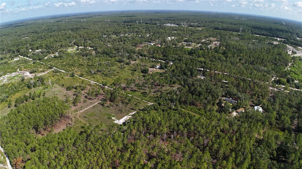 Xx Southwest 156th Place Dunnellon, FL 34432 - Photo 8 of 9