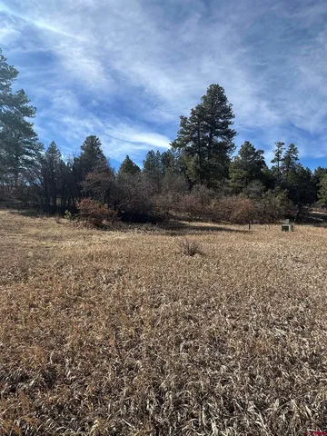 $59,500 | 90 Chase Court, Pagosa Springs, CO 81147