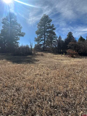 $59,500 | 90 Chase Court, Pagosa Springs, CO 81147