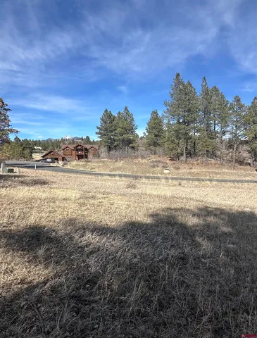 $59,500 | 90 Chase Court, Pagosa Springs, CO 81147