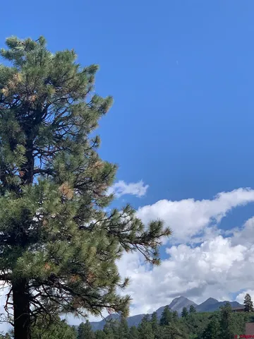 $59,500 | 90 Chase Court, Pagosa Springs, CO 81147