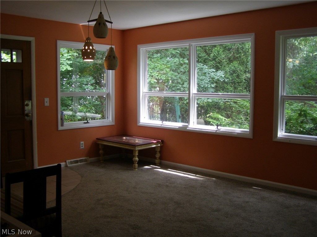 4502 Emerson Road Cleveland, OH 44121 - Photo 3 of 22