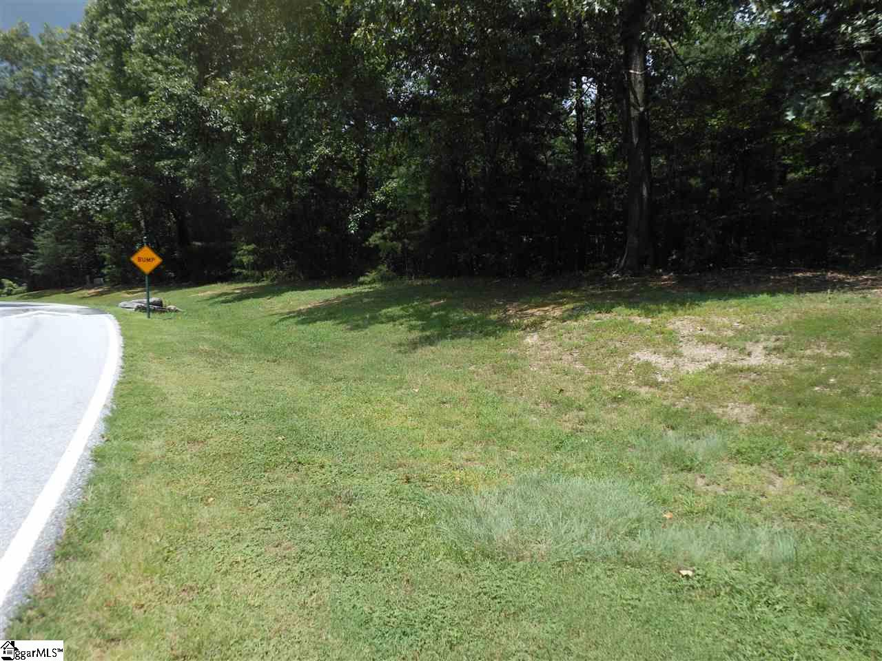 Plumley Summit Road Landrum, SC 29356 - Photo 3 of 4