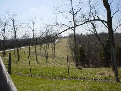 0 Corinth-stringtown Road Corinth, KY 41010 - Photo 3 of 4 Gallery Image 3