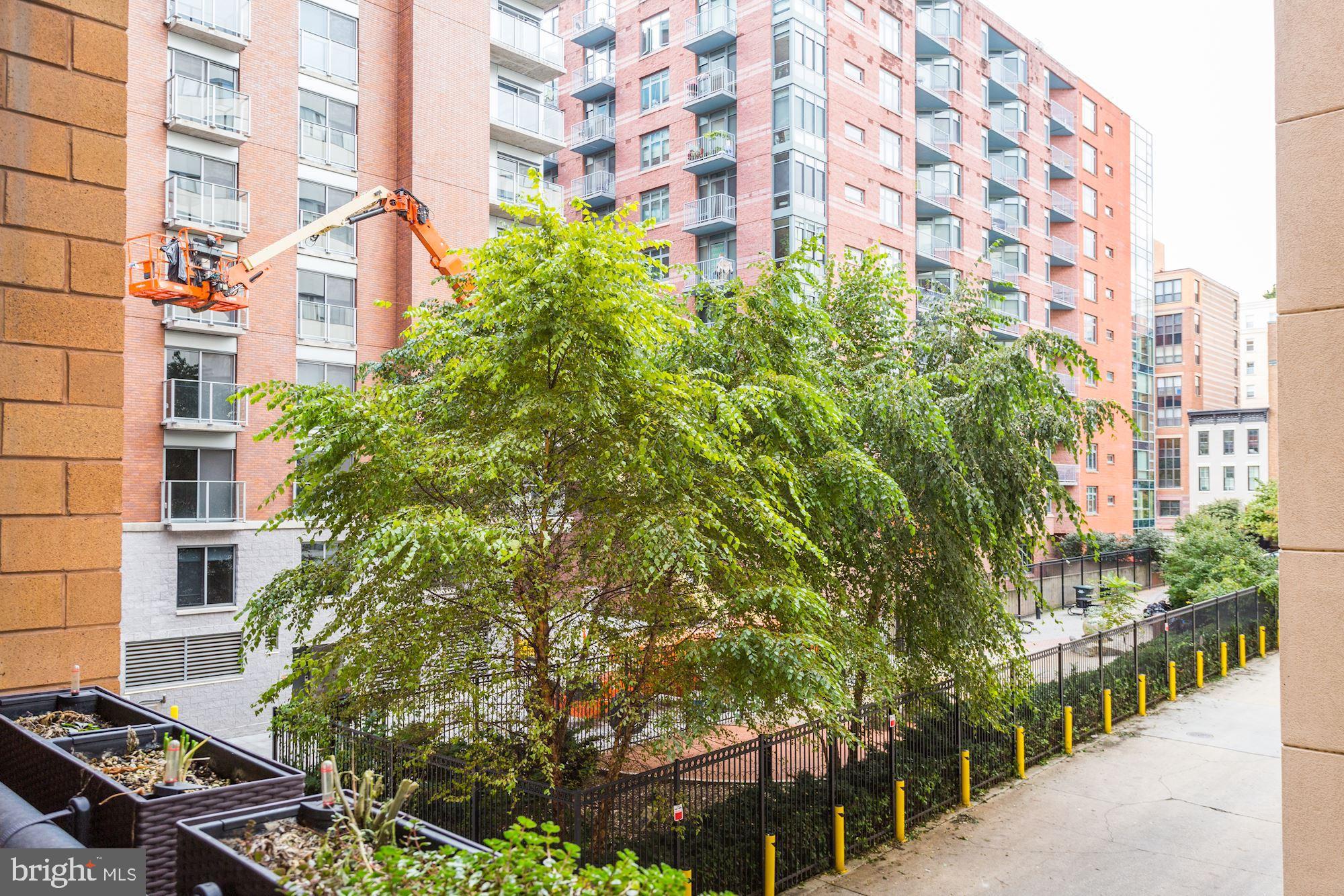 910 M Street Northwest, Unit 206 Washington, DC 20001 - Photo 10 of 49