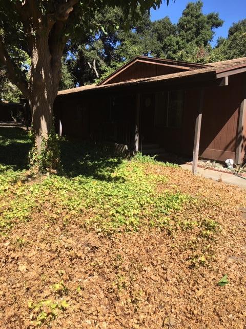 a backyard of a house with large trees