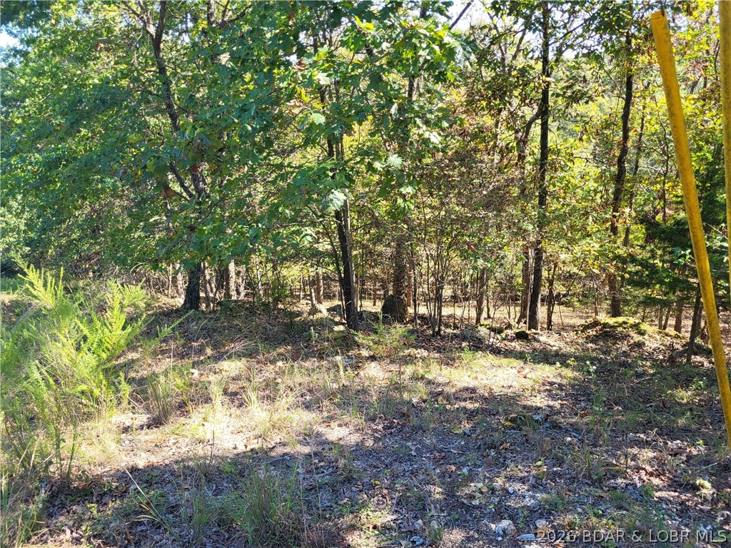 32534 Compromise Road Gravois Mills, MO 65037 - Photo 9 of 12