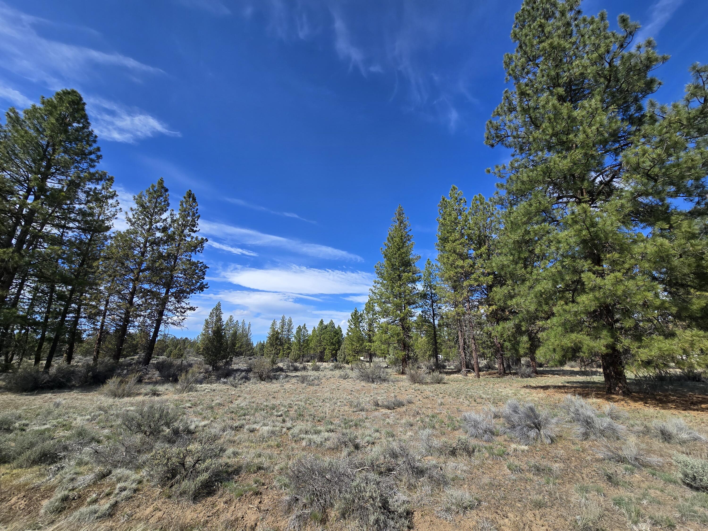 Keno Springs Road, Unit 25 Bonanza, OR 97623 - Photo 8 of 10