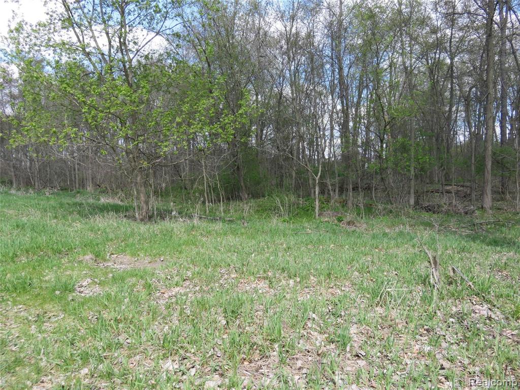 0 South Elliott Road Fowlerville, MI 48836 - Photo 22 of 22