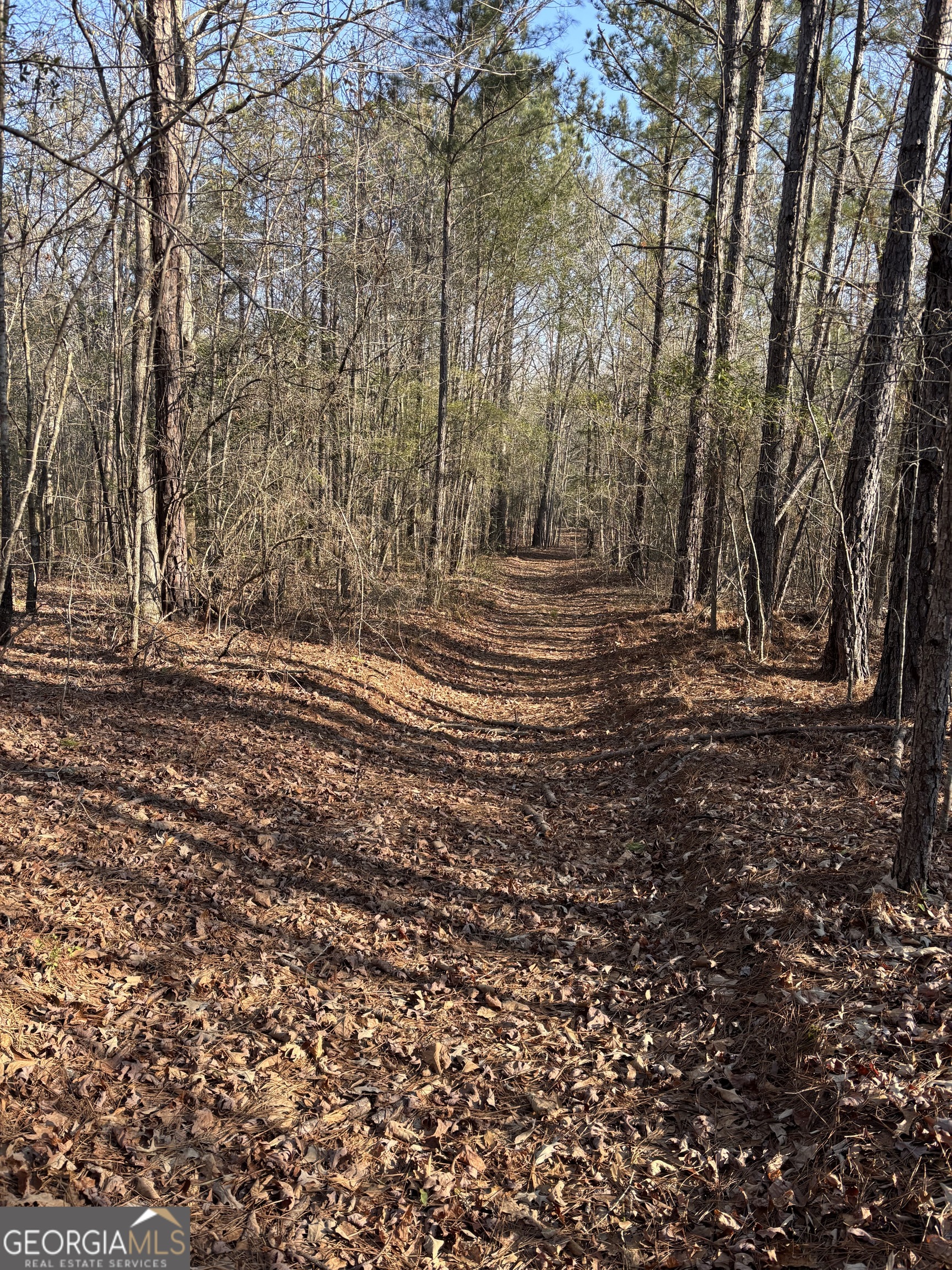 3005 Highway 18 West Point, GA 31833 - Photo 11 of 14 a view of a yard with large trees