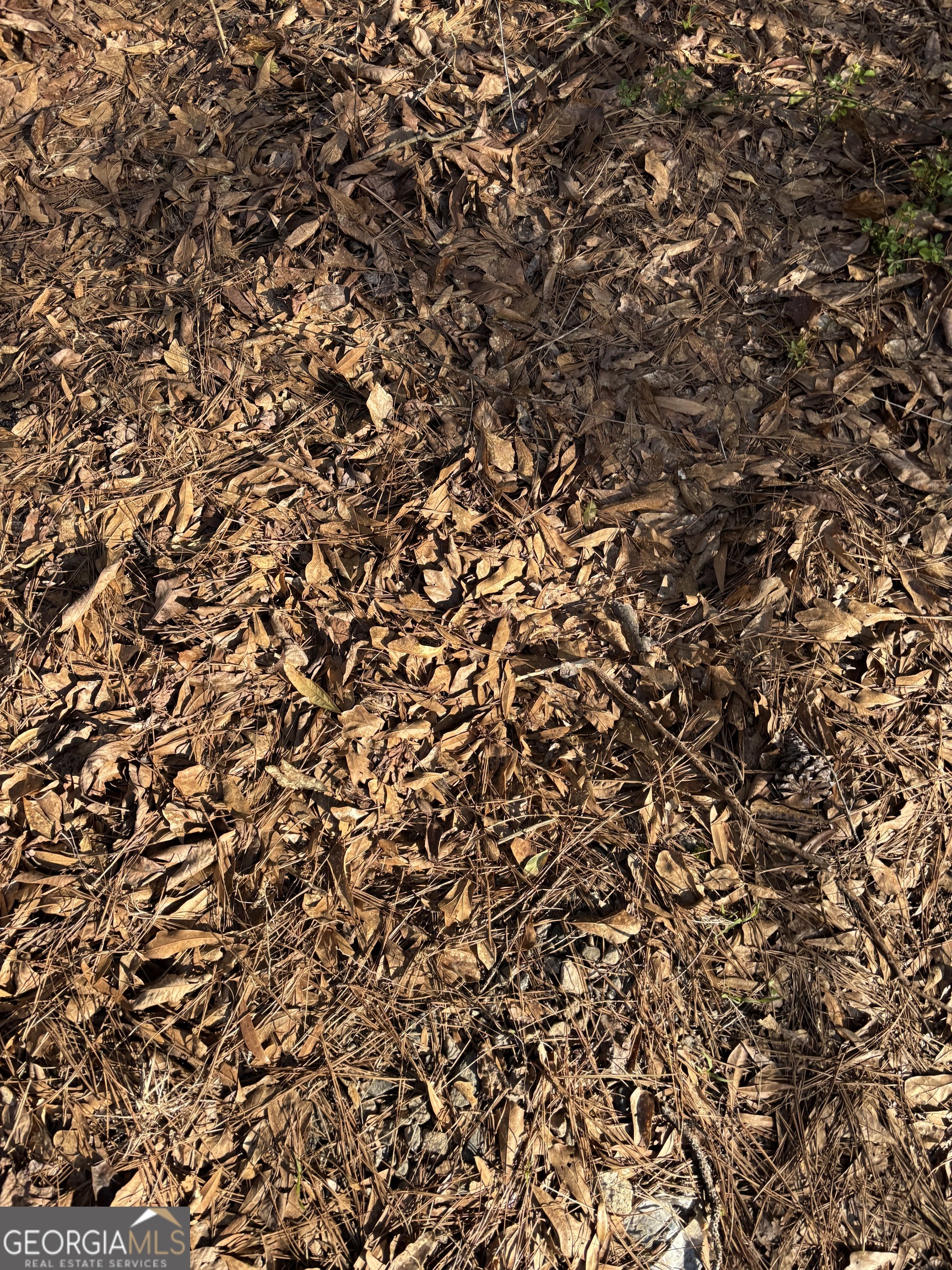 3005 Highway 18 West Point, GA 31833 - Photo 12 of 14 a view of a tree