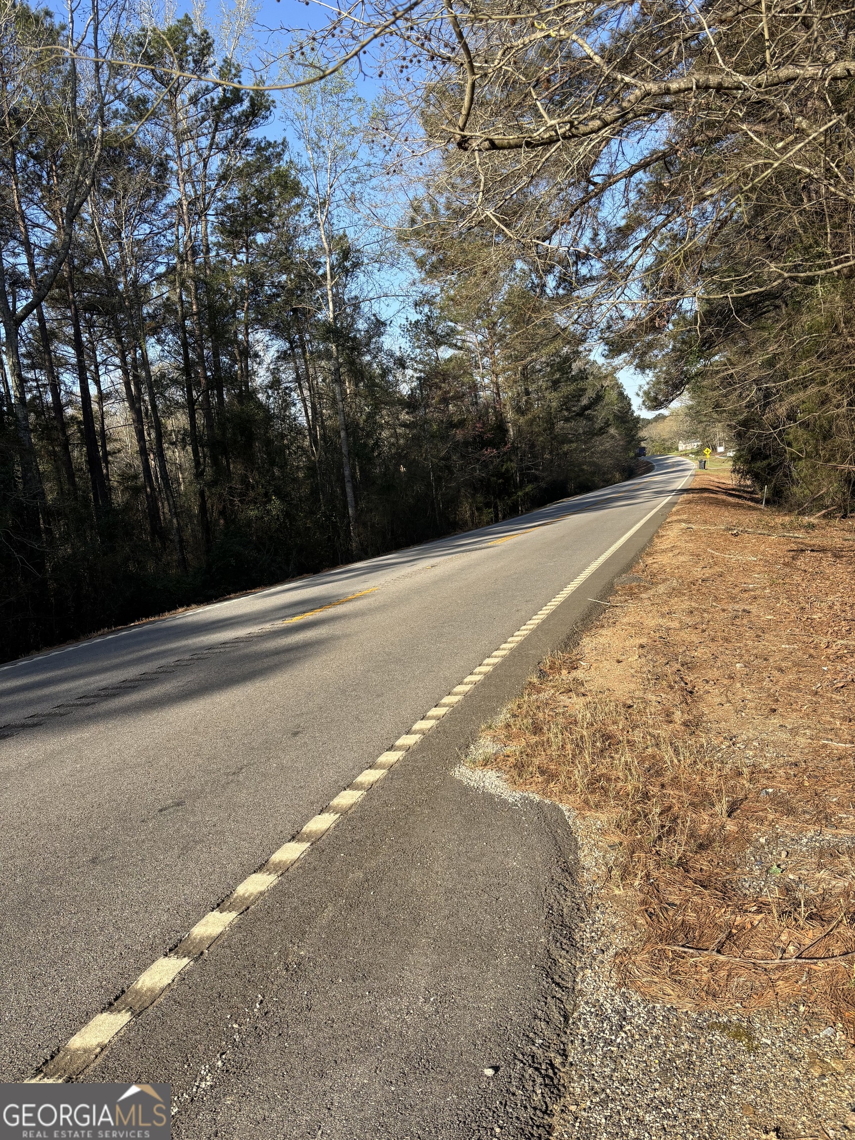 3005 Highway 18 West Point, GA 31833 - Photo 13 of 14 a view of a yard with trees