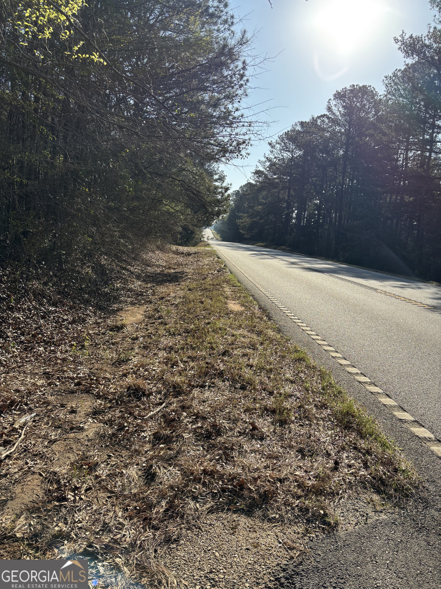 3005 Highway 18 West Point, GA 31833 - Photo 14 of 14 a view of mountain view with lots of trees