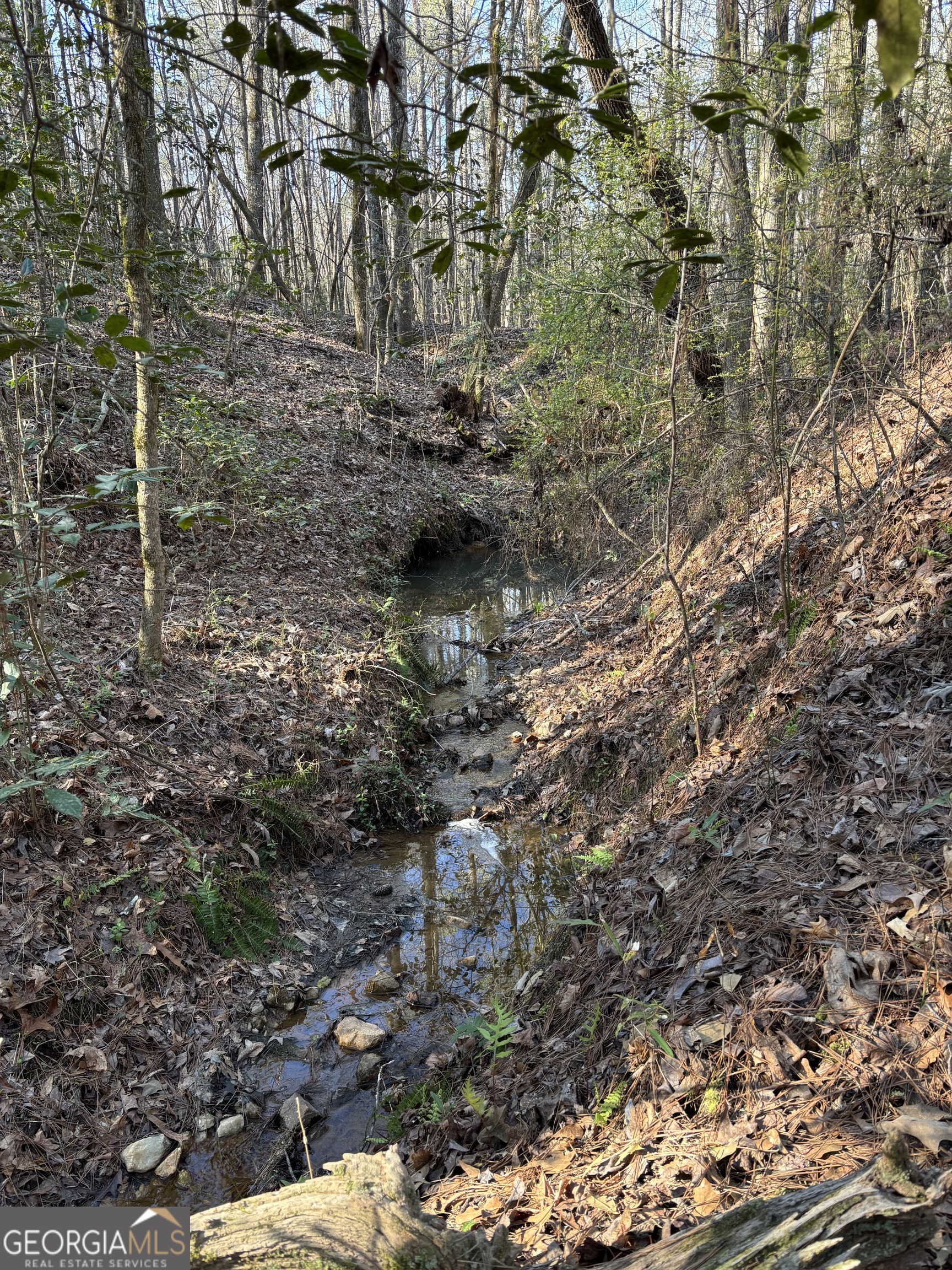 3005 Highway 18 West Point, GA 31833 - Photo 3 of 14