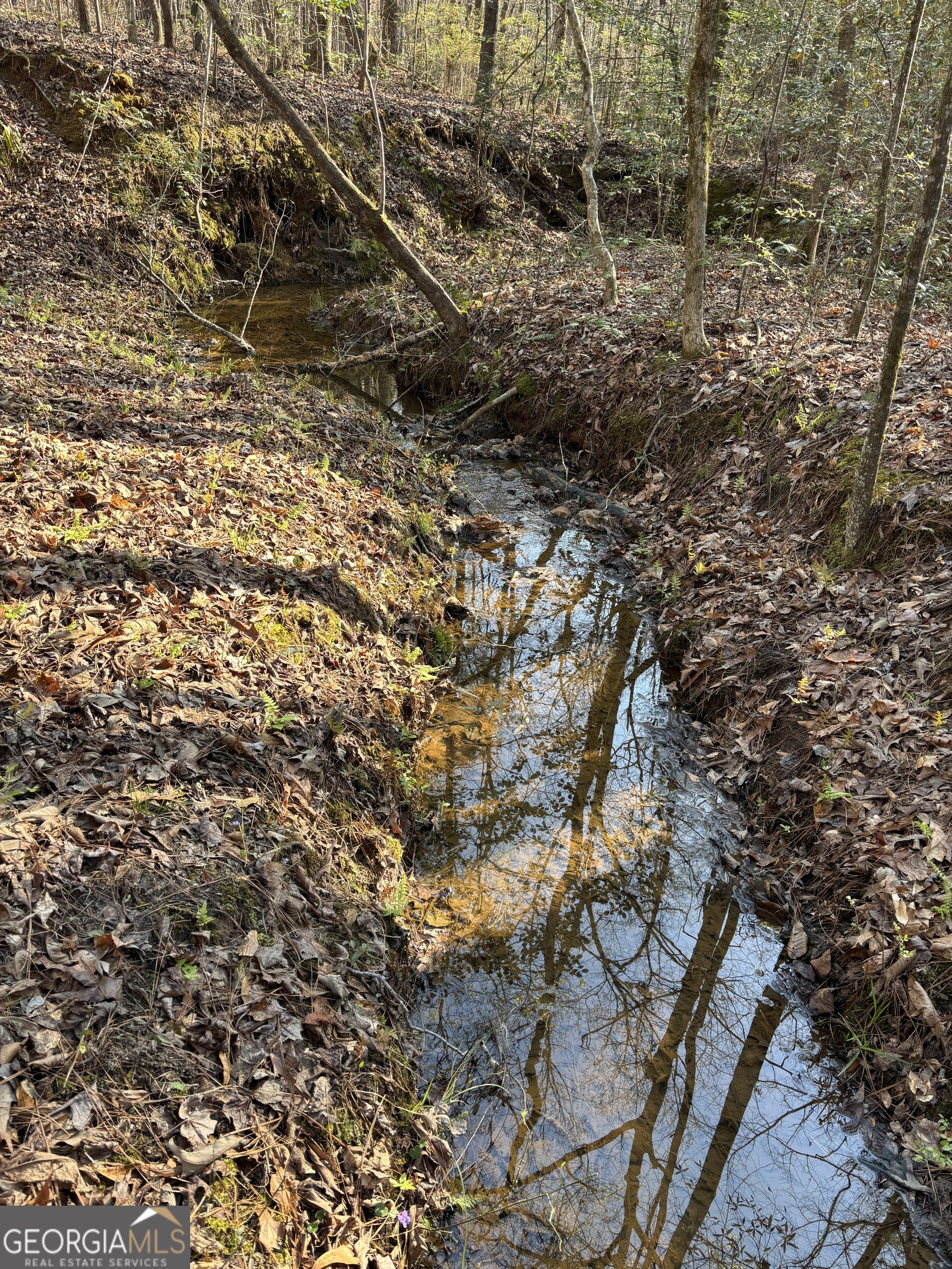 3005 Highway 18 West Point, GA 31833 - Photo 5 of 14 a picture of tree