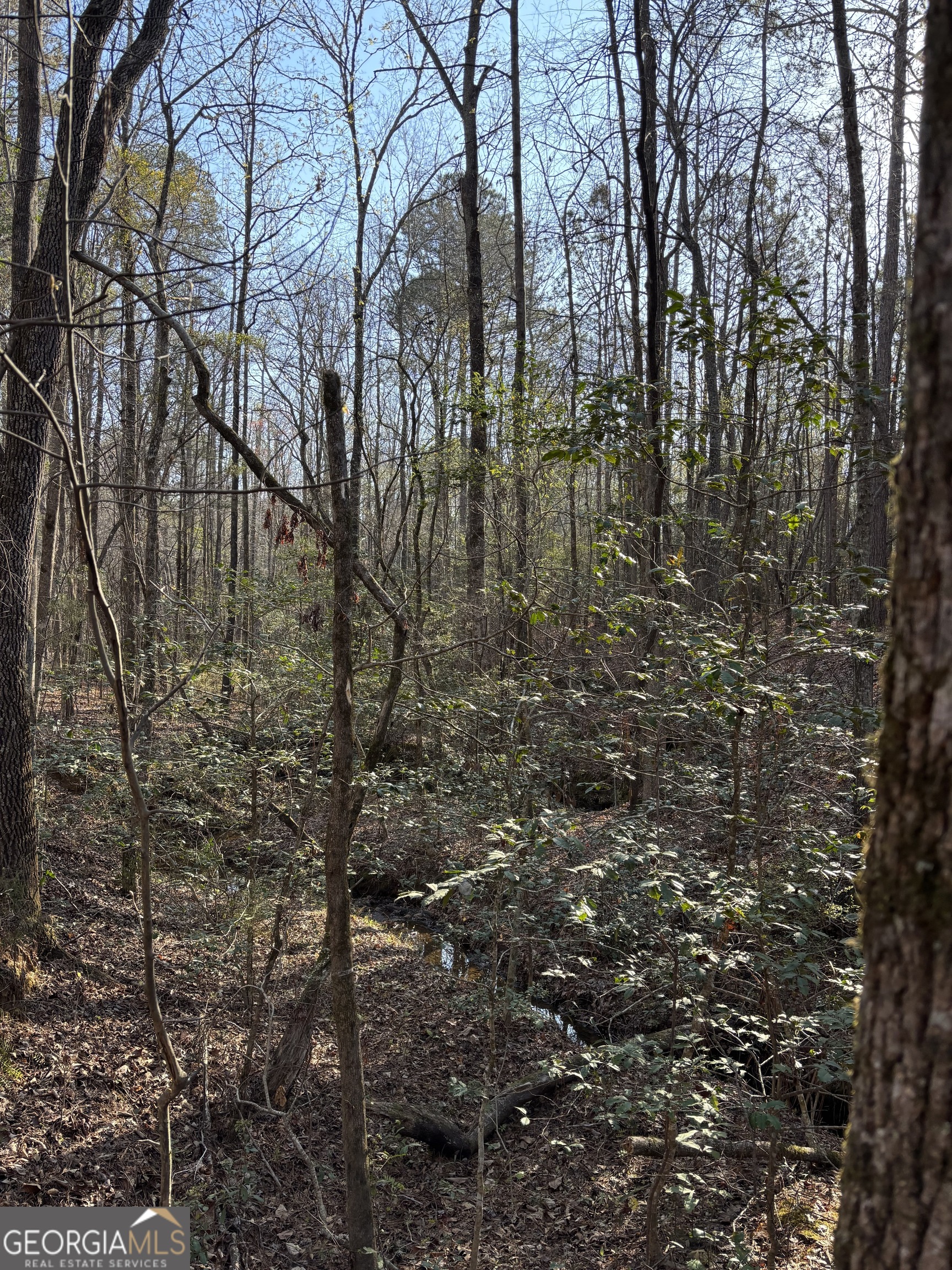 3005 Highway 18 West Point, GA 31833 - Photo 6 of 14 a view of residential space with large trees