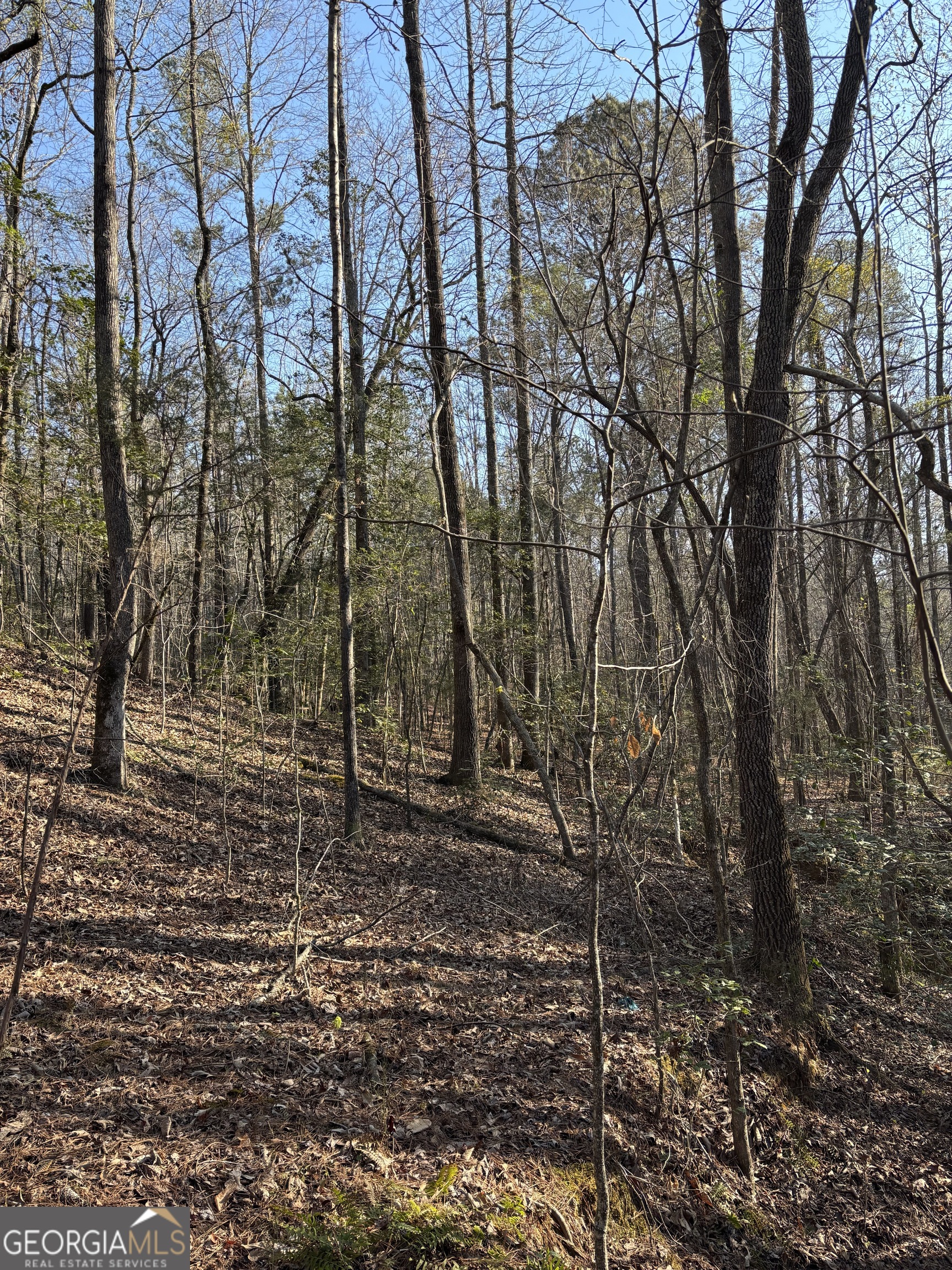 3005 Highway 18 West Point, GA 31833 - Photo 7 of 14 a backyard of a house with lots of green space