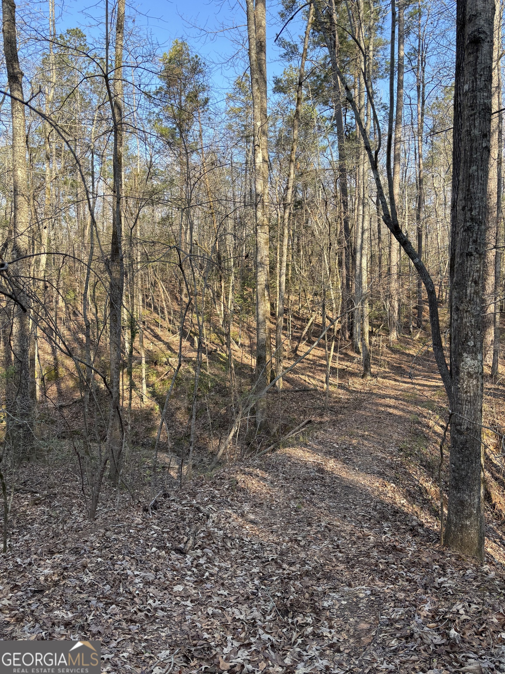 3005 Highway 18 West Point, GA 31833 - Photo 8 of 14 a view of yard