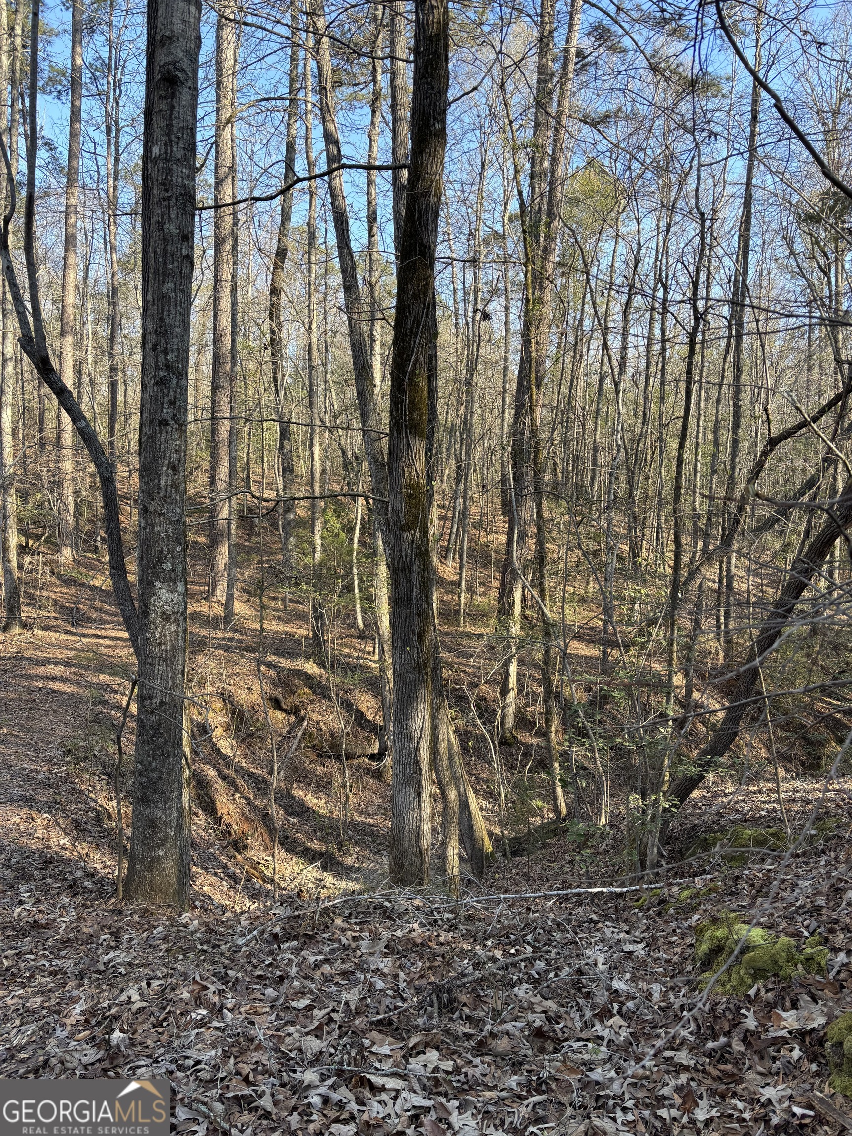 3005 Highway 18 West Point, GA 31833 - Photo 9 of 14 a view of a yard with plants and trees