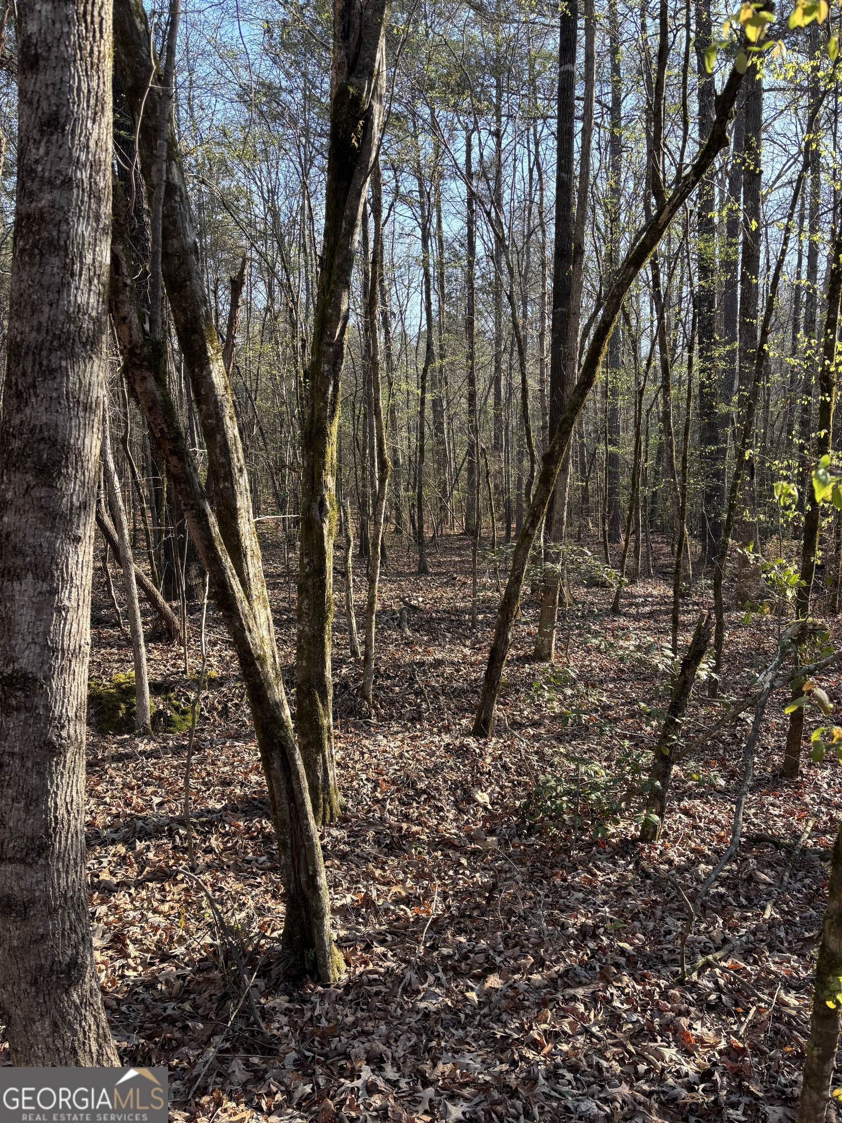 3005 Highway 18 West Point, GA 31833 - Photo 10 of 14 a view of outdoor space