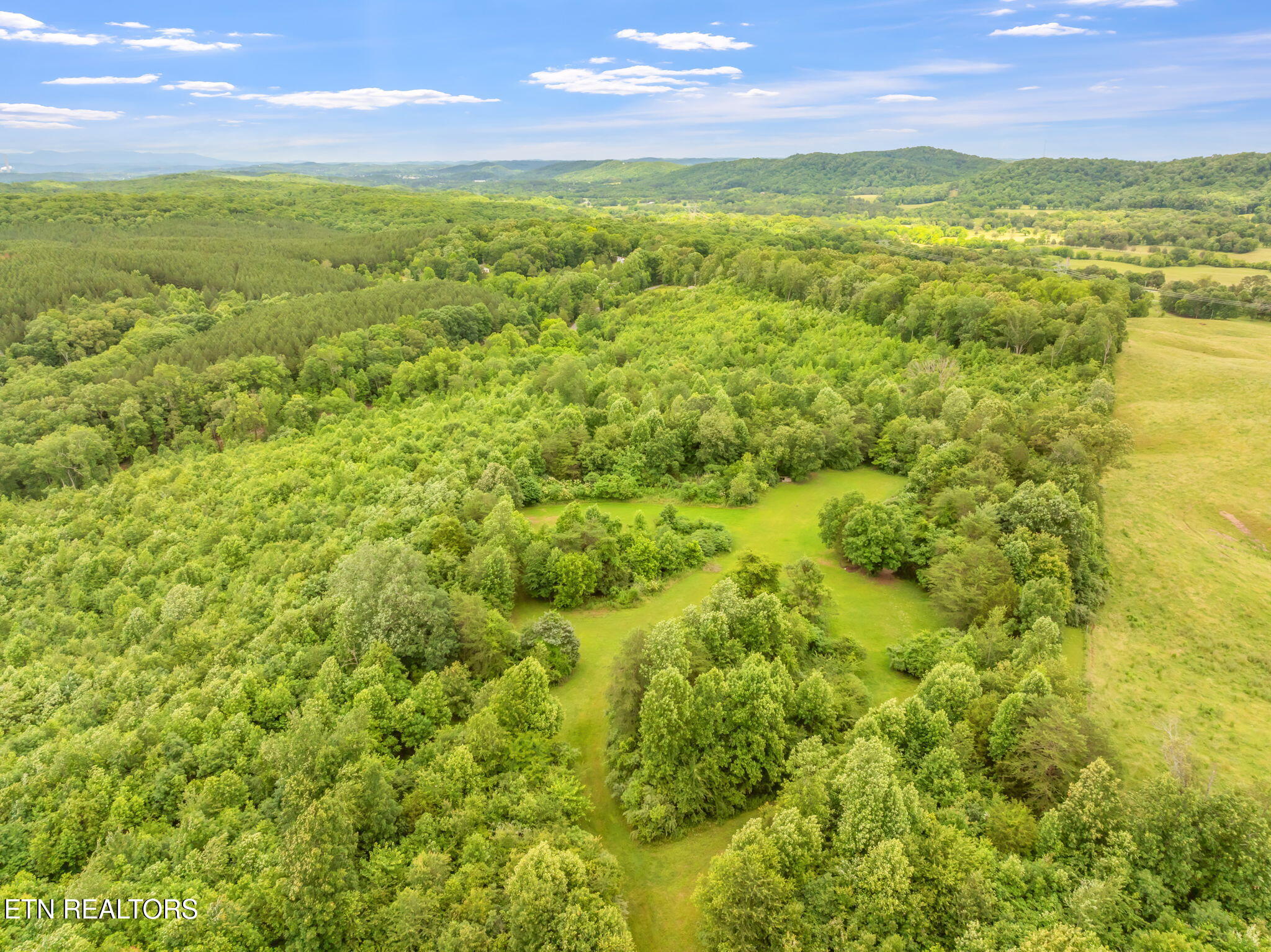 0 Grigsby Hollow Road Kingston, TN 37763 - Photo 19 of 34 18-web-or-mls-Grigsby Hollow Land-15