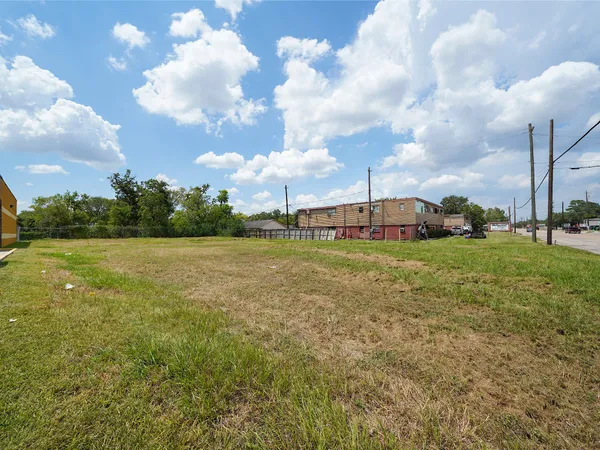 a view of a big yard with potted plants