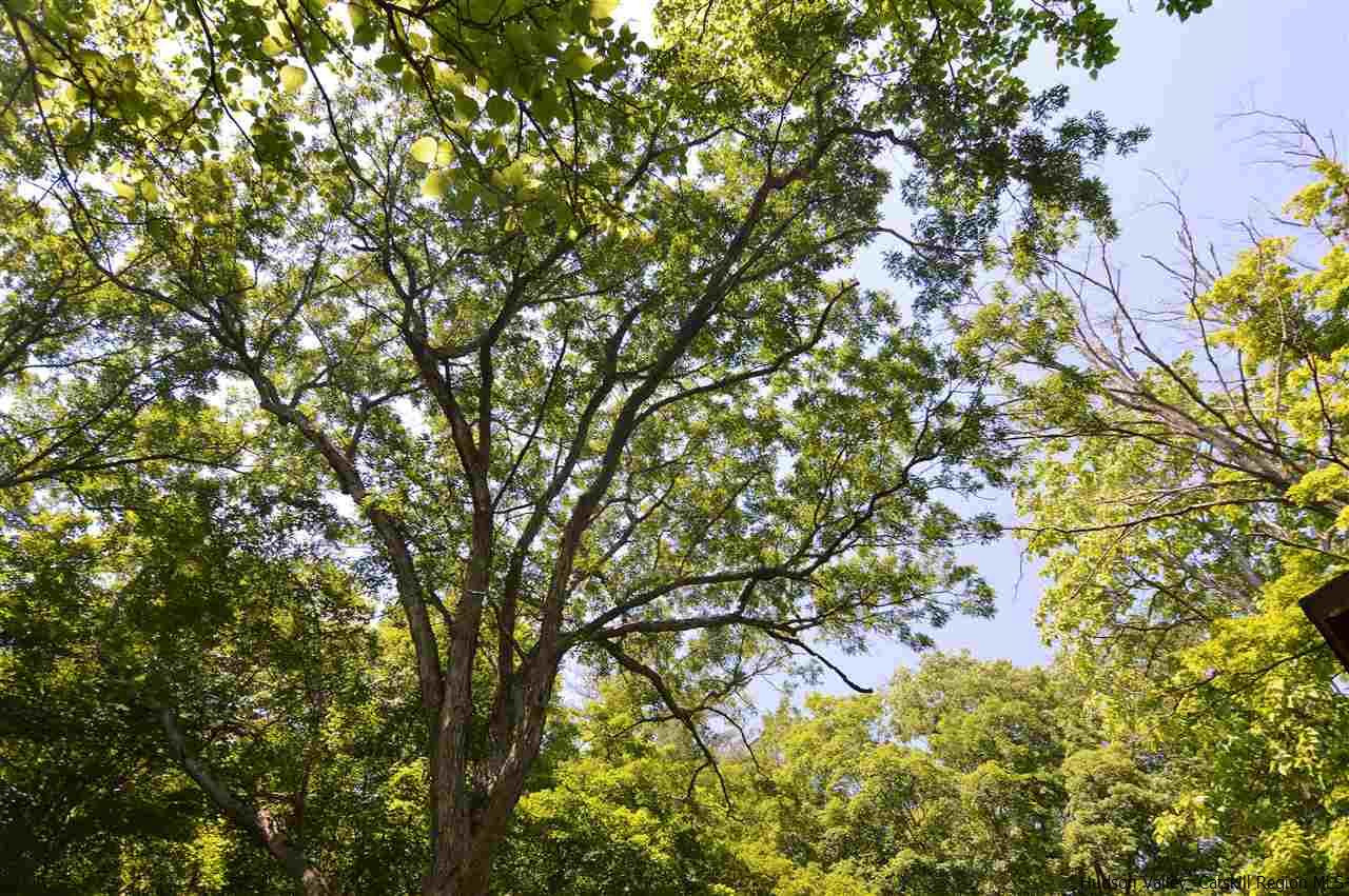 959 Sawkill Road Kingston, NY 12401 - Photo 23 of 32 Photo 23