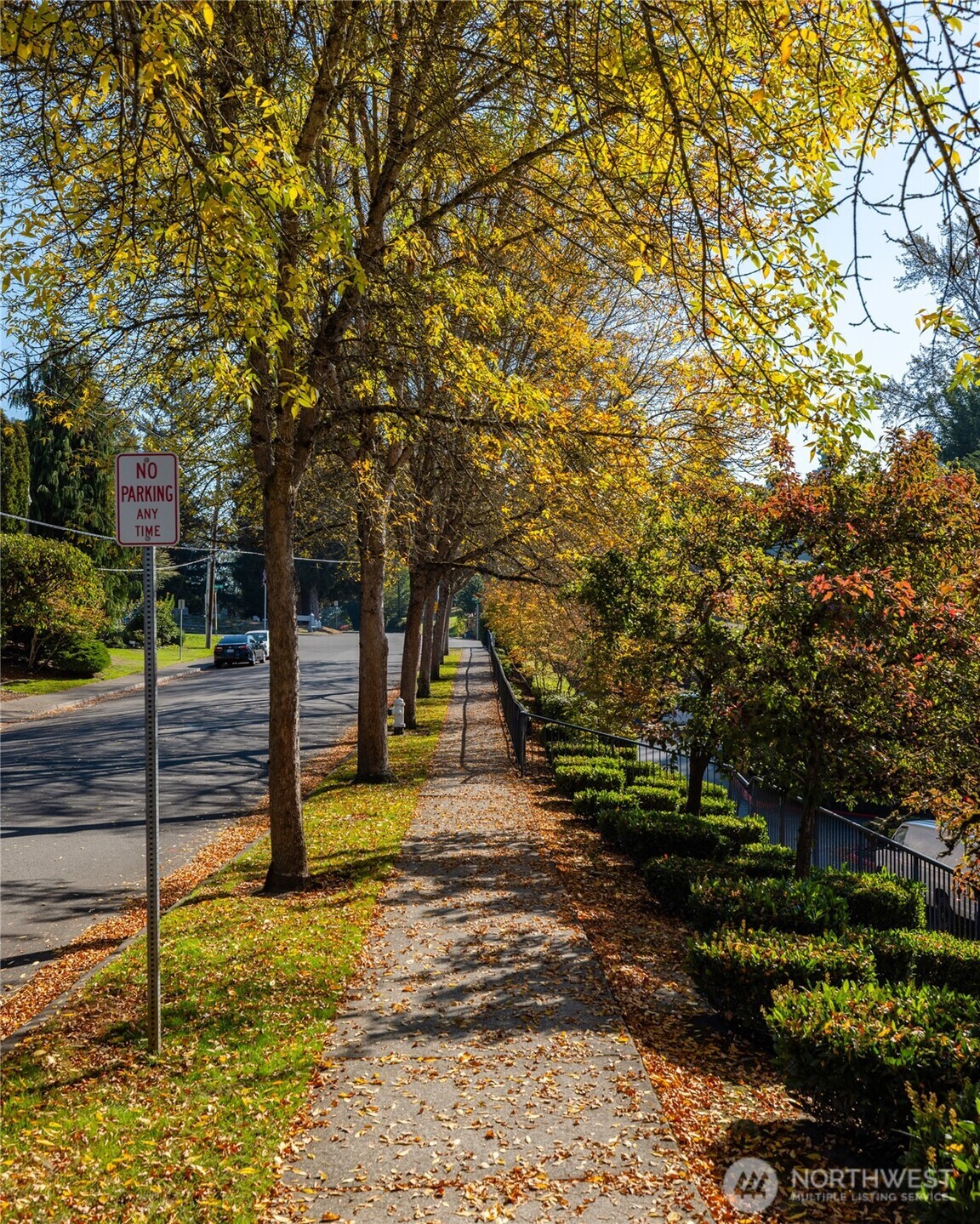 10709 Valley View Road, Unit B403 Bothell, WA 98011 - Photo 32 of 32 a view of a yard with plants and trees