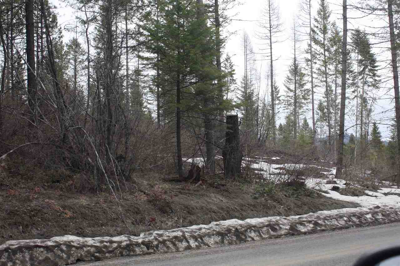 Xxx Nicholson Road Elk, WA 99009 - Photo 2 of 10