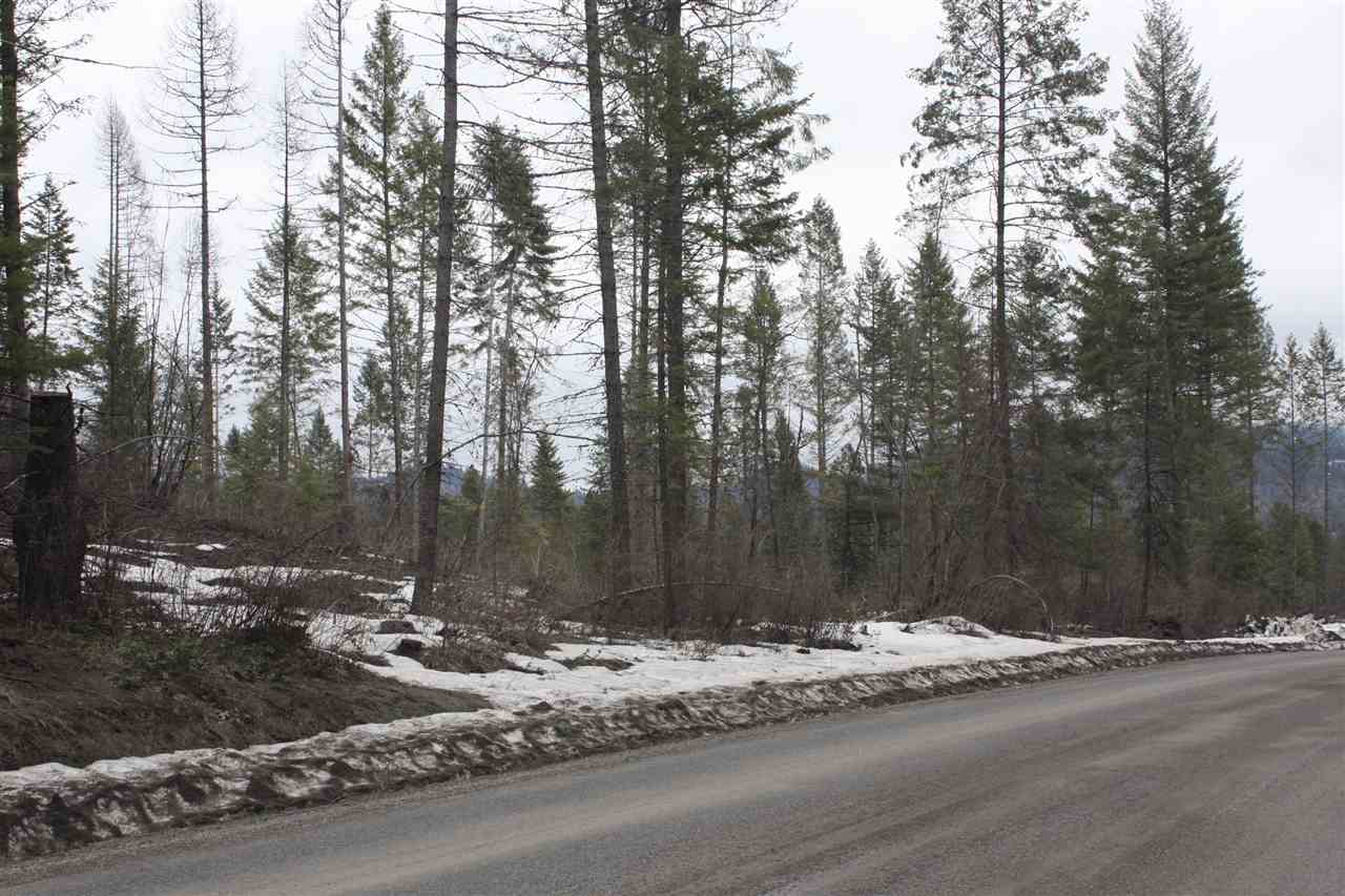 Xxx Nicholson Road Elk, WA 99009 - Photo 3 of 10