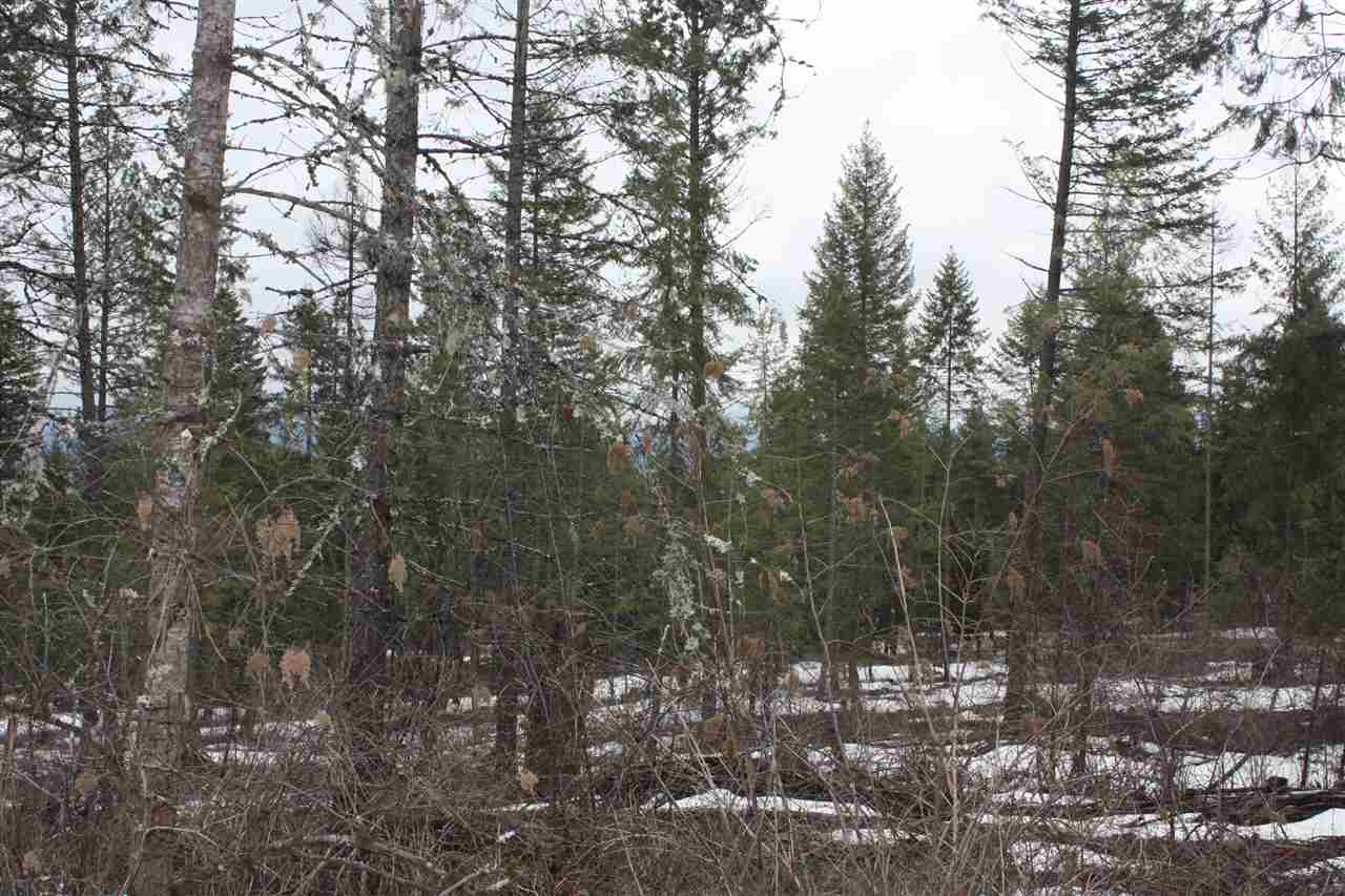 Xxx Nicholson Road Elk, WA 99009 - Photo 10 of 10