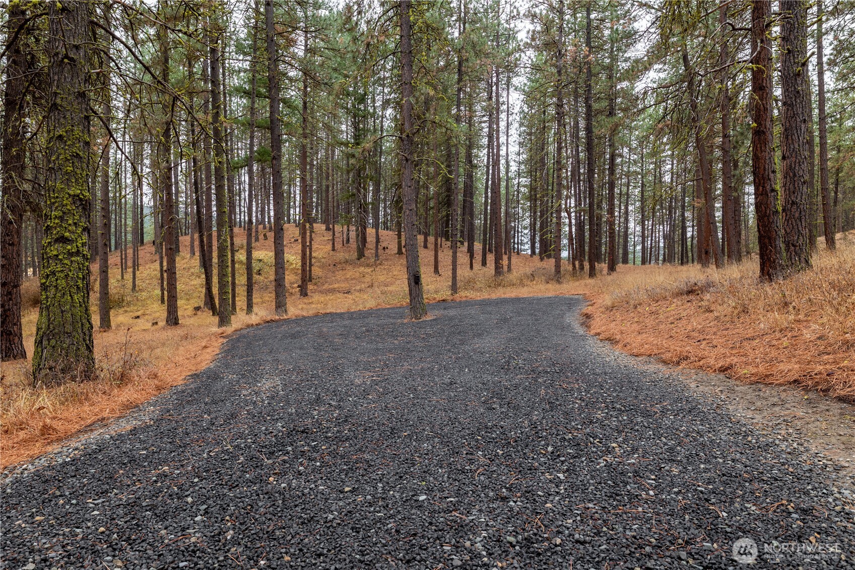 5161 Red Bridge Road Cle Elum, WA 98922 - Photo 11 of 40 a view of outdoor space with trees