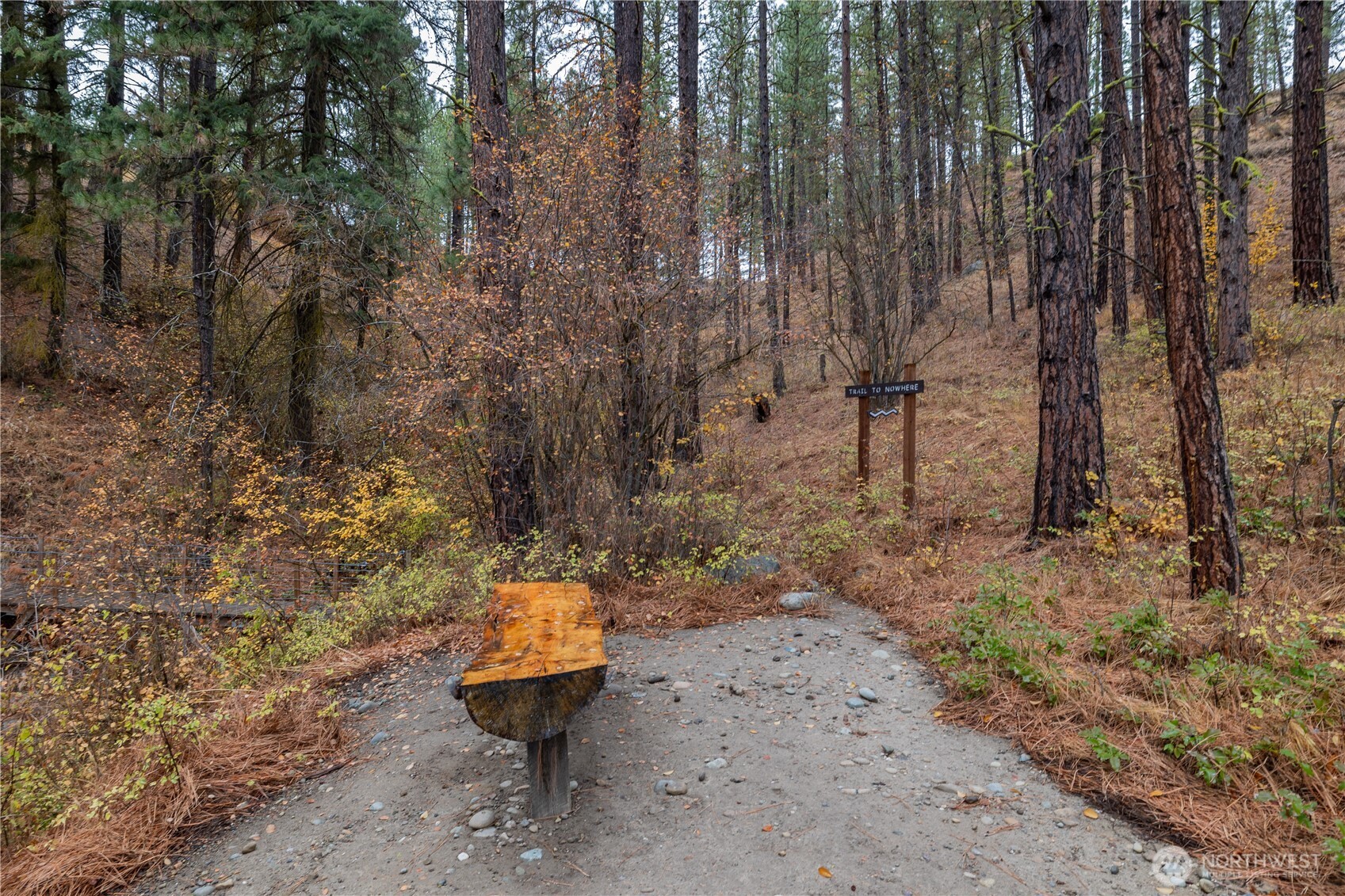5161 Red Bridge Road Cle Elum, WA 98922 - Photo 6 of 40 a view of a backyard with large trees