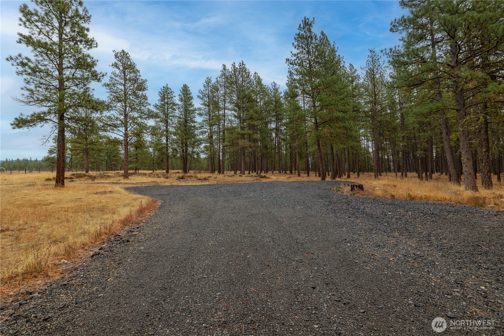 5161 Red Bridge Road Cle Elum, WA 98922 - Photo 8 of 40 a view of outdoor space with trees