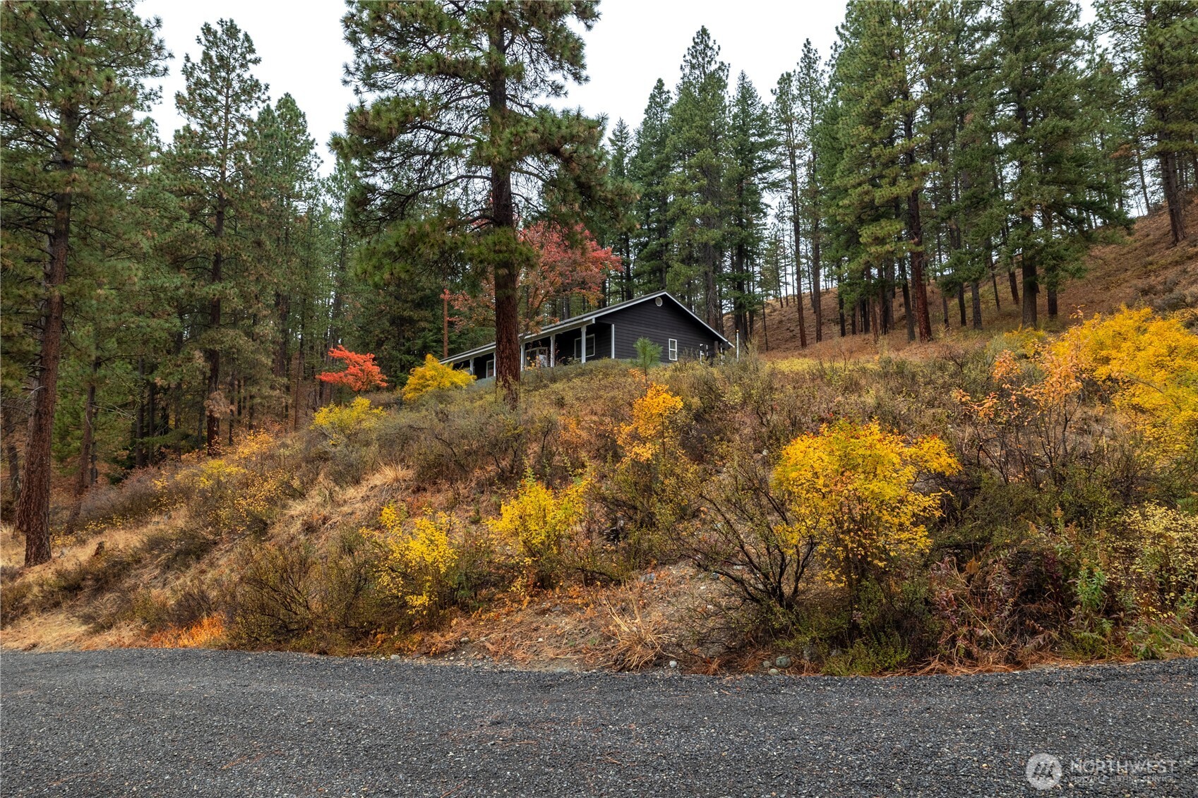 5161 Red Bridge Road Cle Elum, WA 98922 - Photo 10 of 40 a view of a yard with large trees