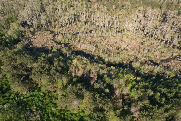 $179,900 | 9.06-acres-1829 South Pamplico Highway, Pamplico, SC 29583