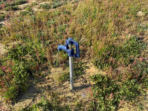 $179,900 | 9.06-acres-1829 South Pamplico Highway, Pamplico, SC 29583