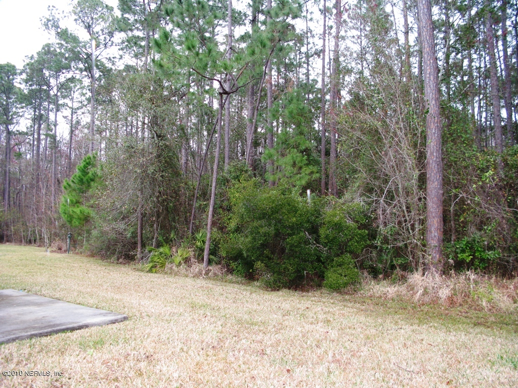 1607 Rustling Drive Fleming Island, FL 32003 - Photo 21 of 21 Backyard