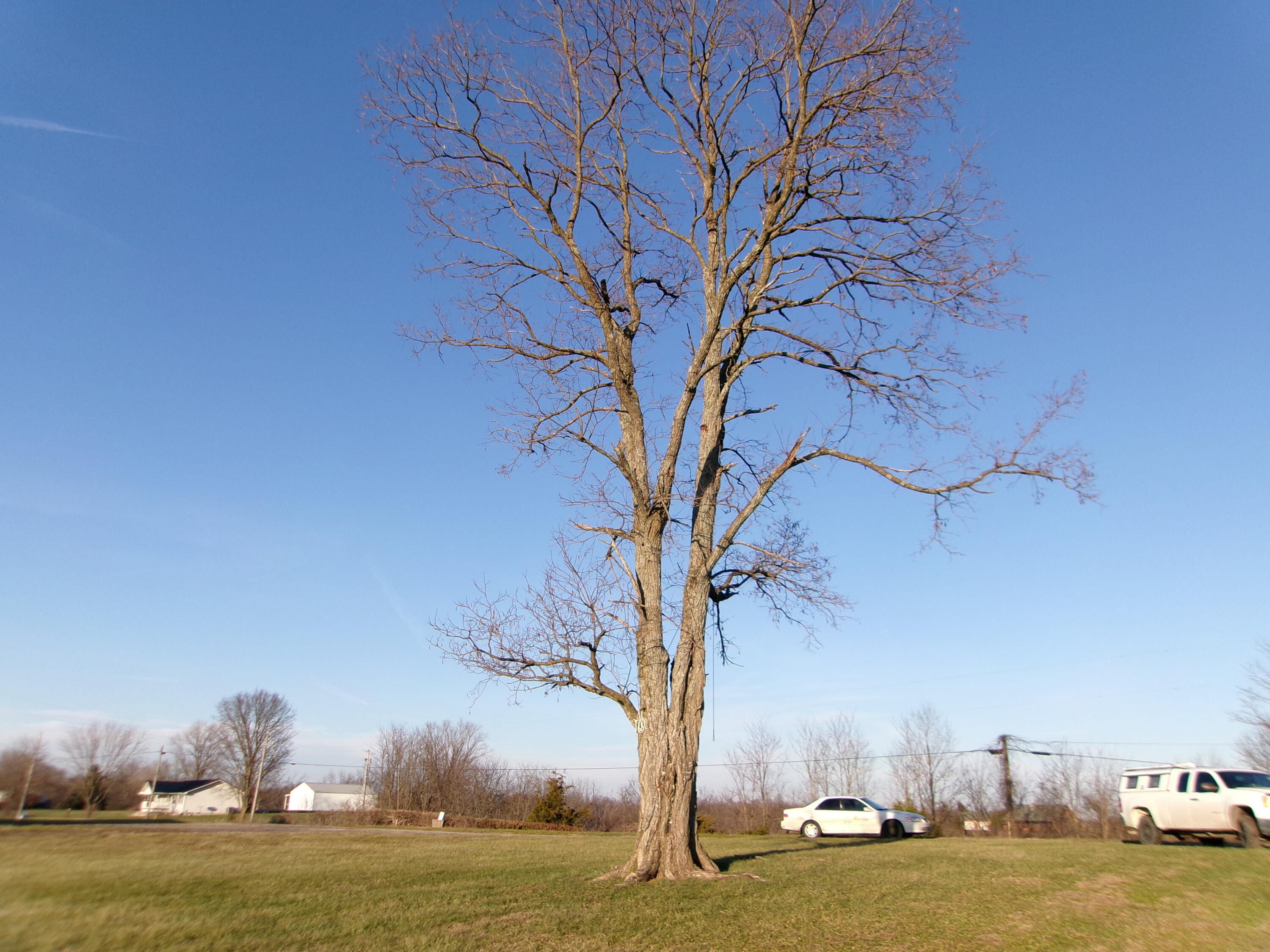 1078 Hamilton Road Brooksville, KY 41004 - Photo 21 of 50