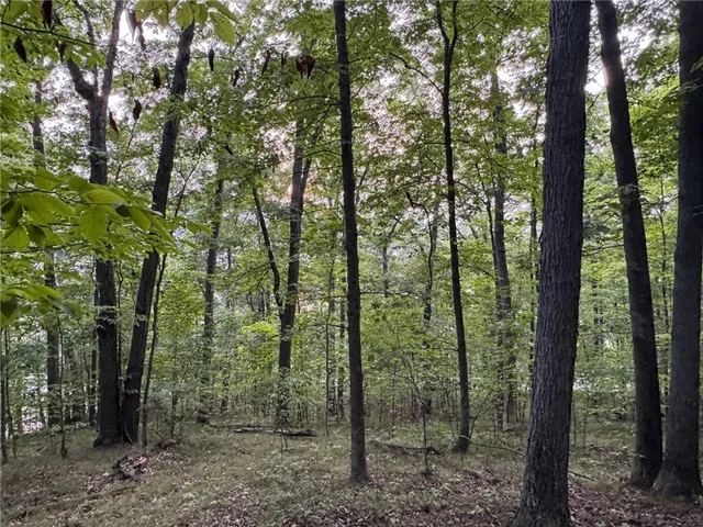 $90,000 | 54 St Rt Hammondsport Ny 14840, Hammondsport, NY 14840