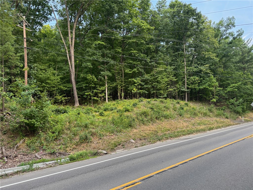 54 St Rt Hammondsport Ny 14840 Hammondsport, NY 14840 - Photo 3 of 5 Looking South