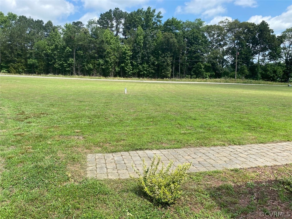684 Bowlers Road Center Cross, VA 22437 - Photo 25 of 25 Big front yard for all your outside family activit