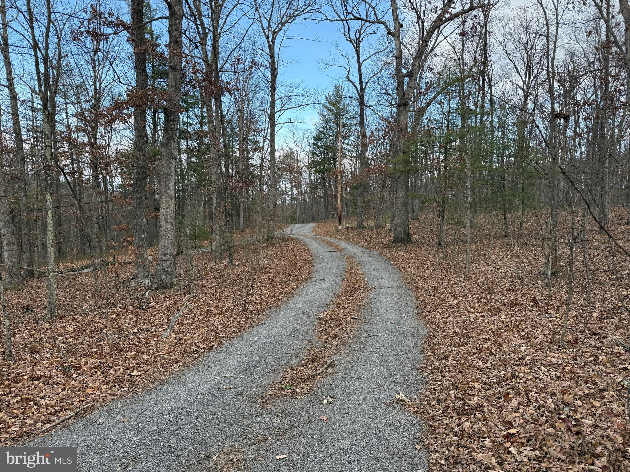 722 Oak Hill Road Berkeley Springs, WV 25411 - Photo 12 of 16 a view of a dry yard with trees