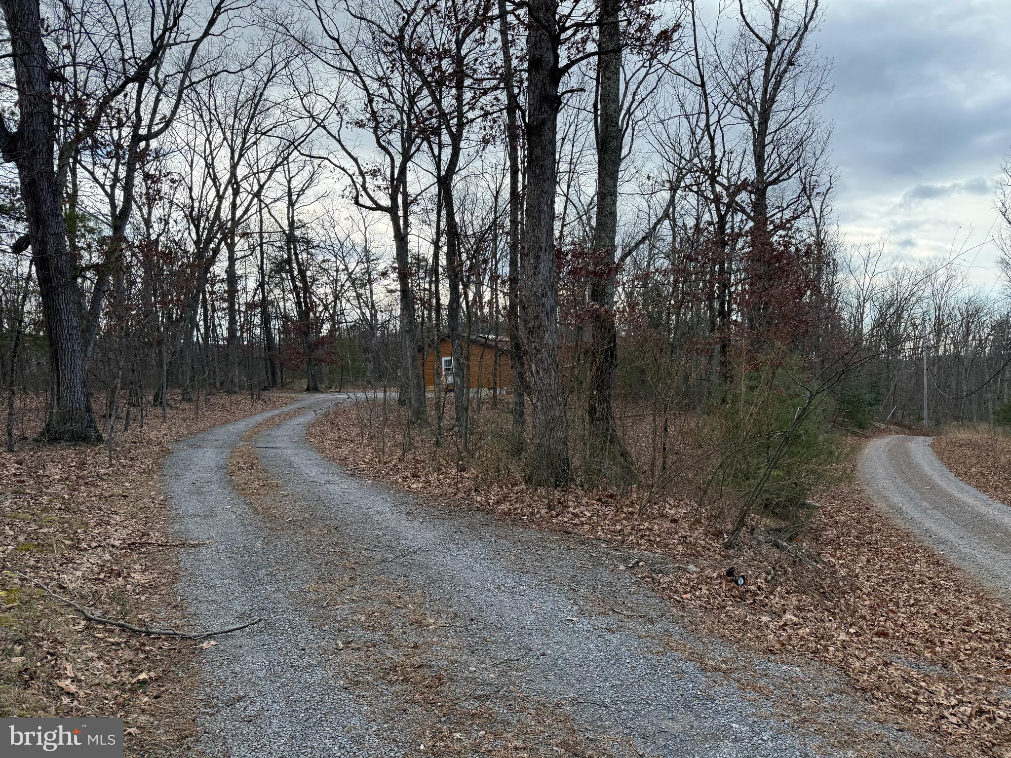 722 Oak Hill Road Berkeley Springs, WV 25411 - Photo 2 of 16 a view of a forest filled with trees