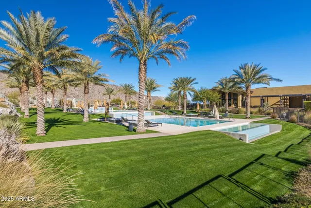 a view of a park with palm trees