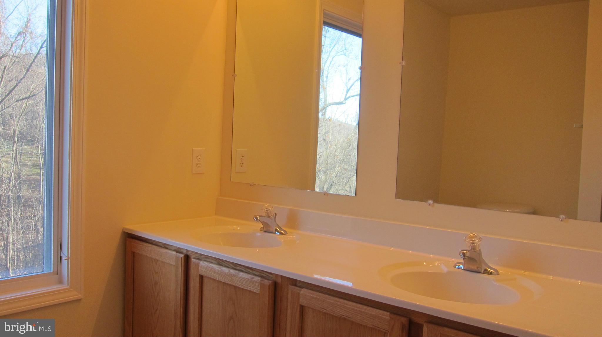 319 Joans Quadrangle Road Front Royal, VA 22630 - Photo 16 of 29 Bath (Master)