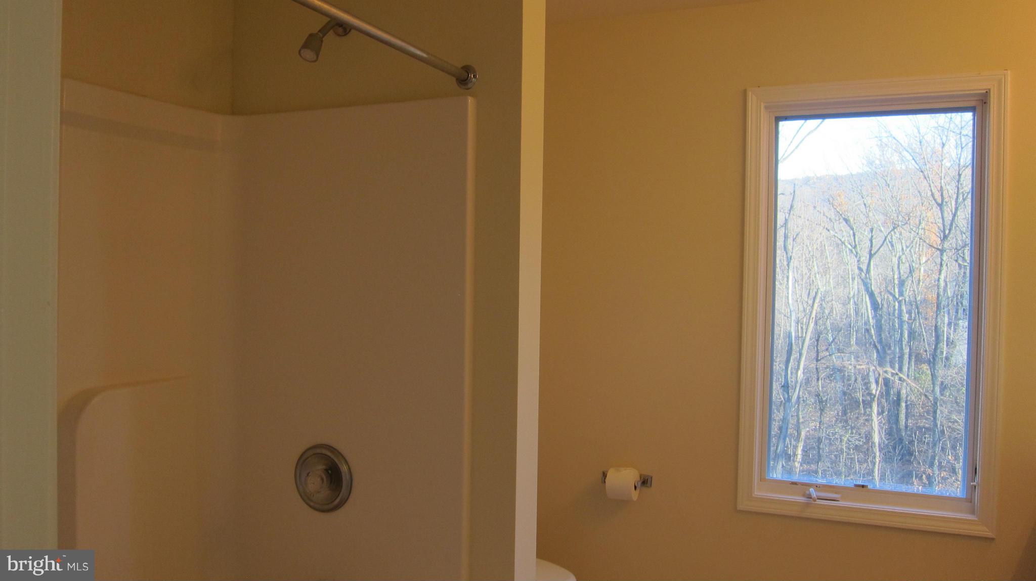 319 Joans Quadrangle Road Front Royal, VA 22630 - Photo 17 of 29 Bath (Master)